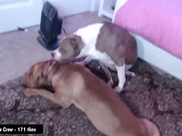 girl cam all day holihurricane image #3178447