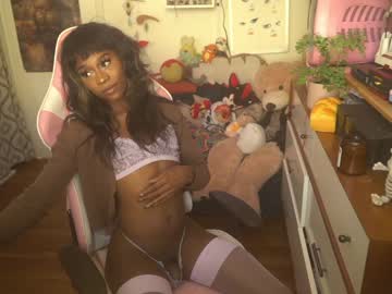 tranny cam all day vanniall image #1531207