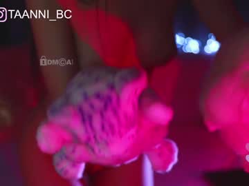 girl cam all day taanni_bc image #2731778