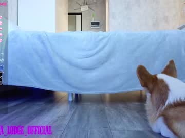 girl cam all day nika_lodge image #4576075