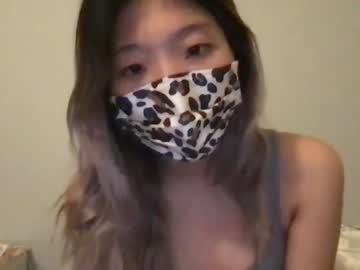 girl cam all day shyasian2 image #3771631