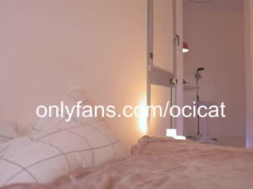 girl cam all day ocicat image #8480403