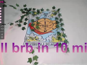 girl cam all day shycinderella image #3632051