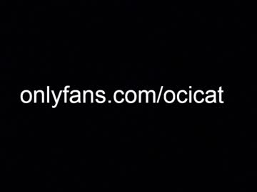 girl cam all day ocicat image #5395849