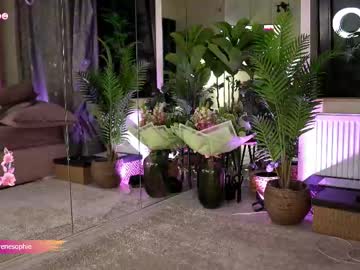 girl cam all day serene_sophiex image #9410761
