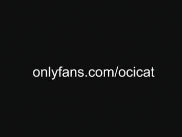 girl cam all day ocicat image #8280851