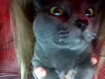 girl cam all day hannahannaa image #2833905