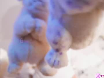 girl cam all day taanni_bc image #6522992