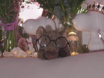 girl cam all day taanni_bc image #8332637