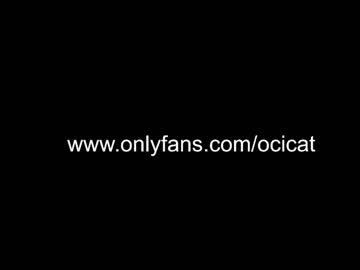 girl cam all day ocicat image #4780007