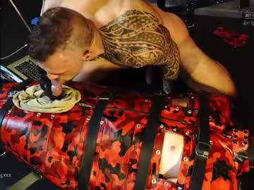 man cam all day muscle_dog image #240180