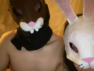 couple cam all day easterhunny image #9625278