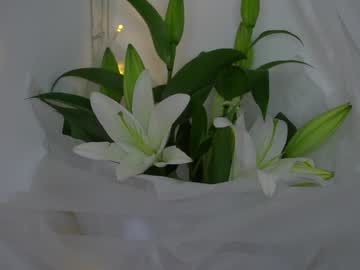 girl cam all day artease image #7413257