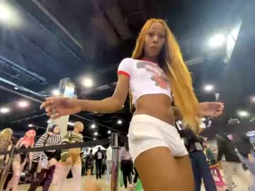 tranny cam all day vanniall image #6776595