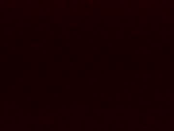 couple cam all day sladkoesolnishko image #4564494