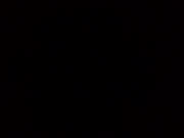 couple cam all day sexysexydream image #941245