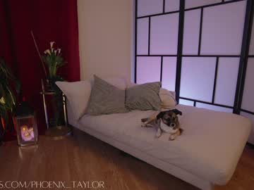 girl cam all day phoenix_taylor image #8759372
