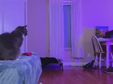 girl cam all day chroniclove image #8078333