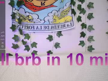 girl cam all day shycinderella image #3438799