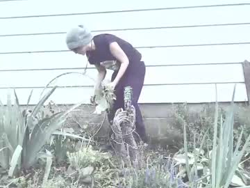 girl cam all day silentmary image #2451376