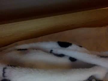 girl cam all day xprsv image #4270458