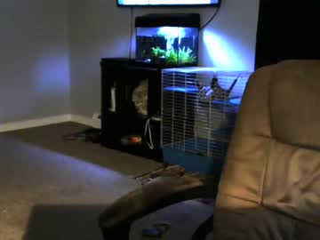 man cam all day sean0203 image #199218