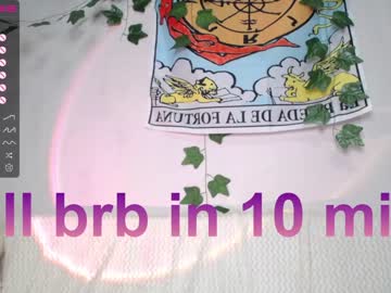 girl cam all day shycinderella image #3646372