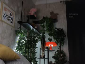 girl cam all day kateharrise image #6969895