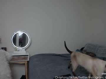 girl cam all day saraxjacob image #1907669