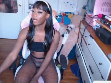 tranny cam all day vanniall image #921888