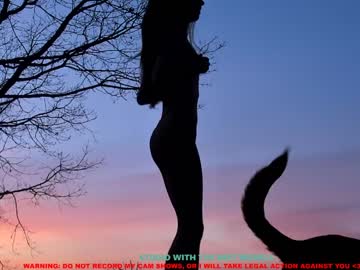 girl cam all day coy_amina image #819622