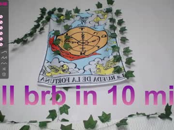 girl cam all day shycinderella image #3531333