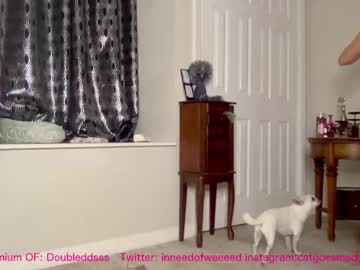 girl cam all day avangelinefunn99 image #5664176