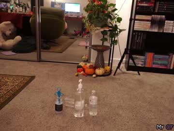 girl cam all day evelynpiers image #5747200