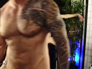man cam all day muscle_dog image #586098