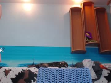 girl cam all day incrediblyomelia image #2451888