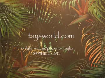 girl cam all day phoenix_taylor image #3011757