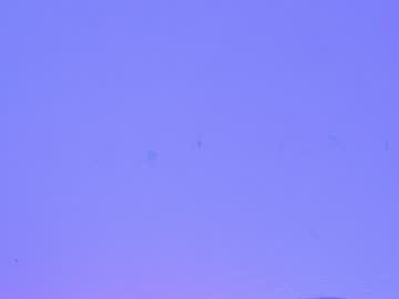 girl cam all day shycinderella image #1218440