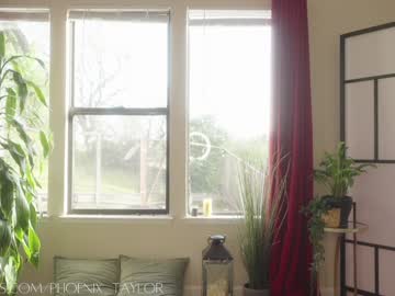 girl cam all day phoenix_taylor image #9043169