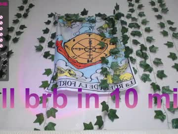 girl cam all day shycinderella image #3410651