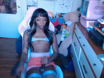 tranny cam all day vanniall image #956897