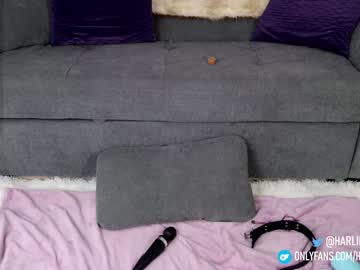 girl cam all day harliequinnx image #5724472