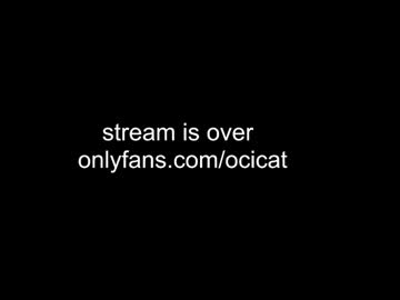 girl cam all day ocicat image #7863247
