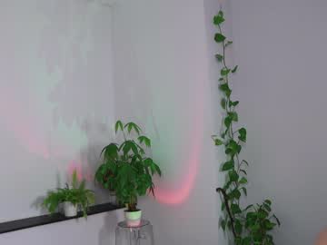 girl cam all day taralanes image #4606835
