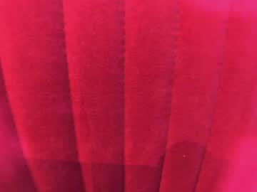 girl cam all day ehotlovea image #6121090
