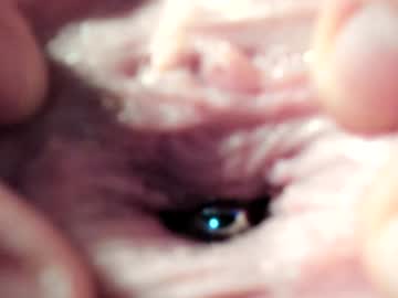 girl cam all day courtney_luv image #8784607