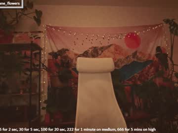 girl cam all day jane_flowers image #5056327