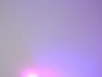 girl cam all day shycinderella image #1059949