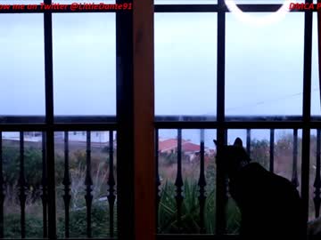 girl cam all day littledante91 image #1989638
