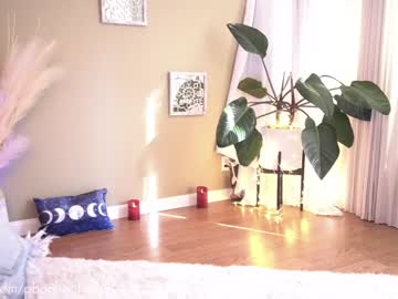 girl cam all day phoenix_taylor image #2574948